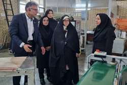 بازدید مشاور امور زنان وزیر صمت از شهرک صنعتی توس 